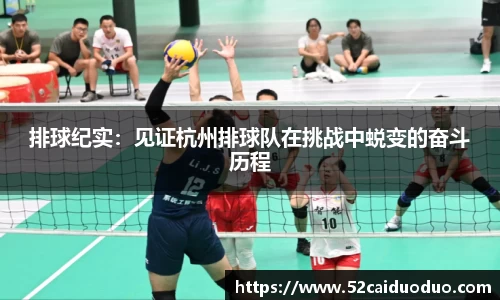 排球纪实：见证杭州排球队在挑战中蜕变的奋斗历程