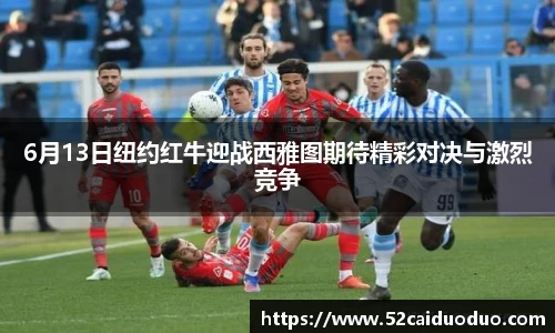 v站体育